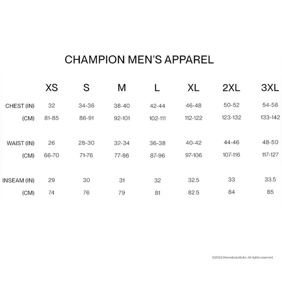 Men’s Champion Reverse Weave Hoodie - Picture 11 of 12